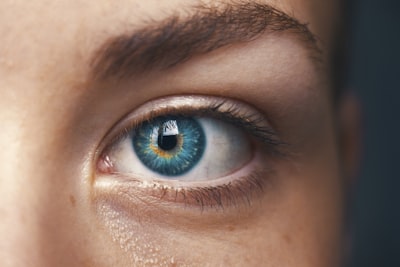 Visual perception and accessibility